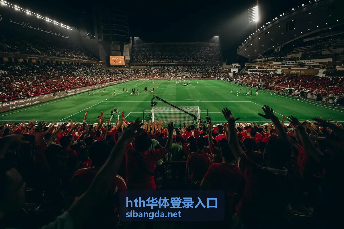 hth华体登录入口账户验证与安全设置封面